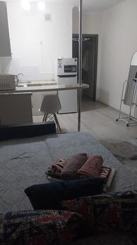 I rent out a 1-room apartment daily, Алмати - квартира подобово