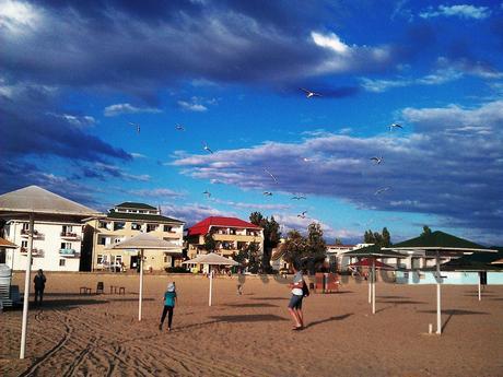 Гостьовий будинок біля моря 'Катери, Саки - квартира подобово