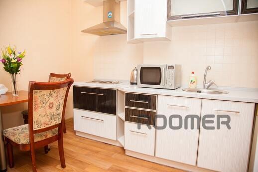 Apartment for daily rent on Zhukovsky street, Zaporizhzhia - apartment by the day