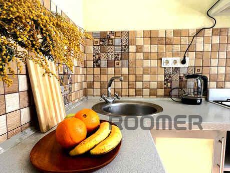 2-room Junior Suite, near Shevchenko Blvd., Zaporizhzhia - apartment by the day