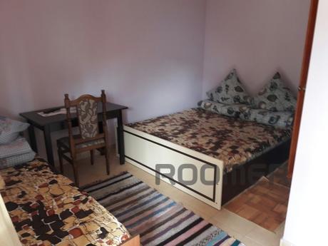 rent apartments in the private sector, Berehovo - apartment by the day