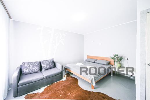 Апартаменти розташовані в центрі Києва за адресою: вул. Воло