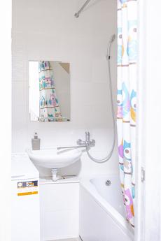 Оренда 1к квартири, Володимирська, 89, Киев - квартира посуточно