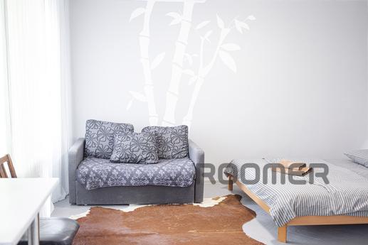 Оренда 1к квартири, Володимирська, 89, Киев - квартира посуточно