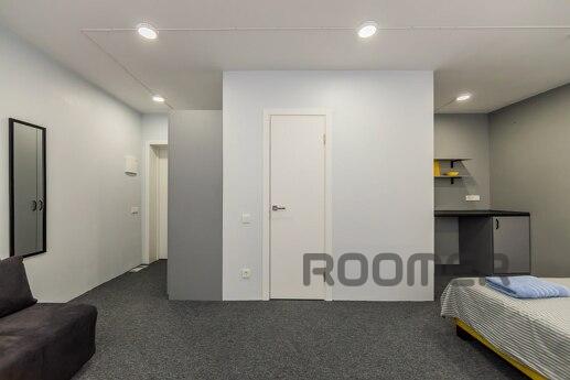 1k apartment, similar rental, Kyiv - apartment by the day