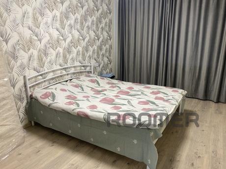 I am renting a 2-room studio apartment with a new renovation