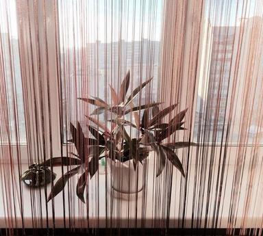 Luxury studio near (emii), Smolensk - apartment by the day