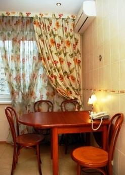 Charming kopeck piece on the waterfront, Moscow - apartment by the day