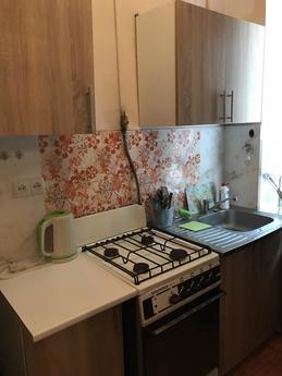 Apartment in the center, Lviv - apartment by the day