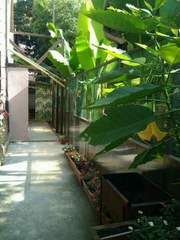 Rent a cozy 1 bedroom apartment, Сочі - квартира подобово