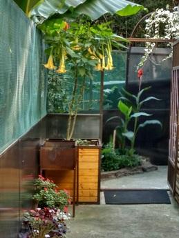 Rent a cozy 1 bedroom apartment, Сочі - квартира подобово